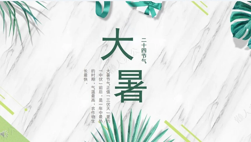 二十四节气大暑通用PPT模板(12)