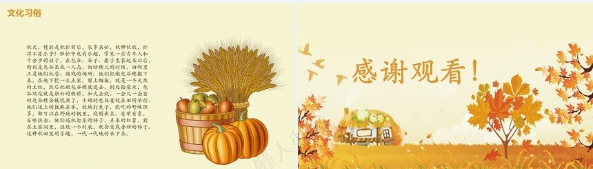 二十四节气立秋通用PPT模板(20)