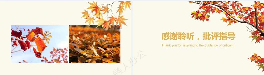 二十四节气立秋通用PPT模板(22)