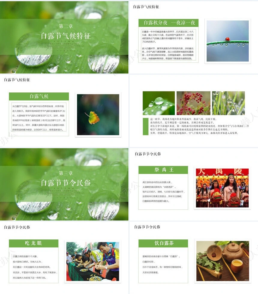 二十四节气白露通用PPT模板(12)