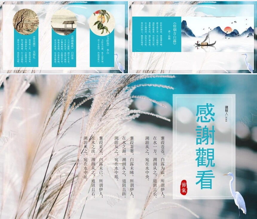 二十四节气白露通用PPT模板(13)