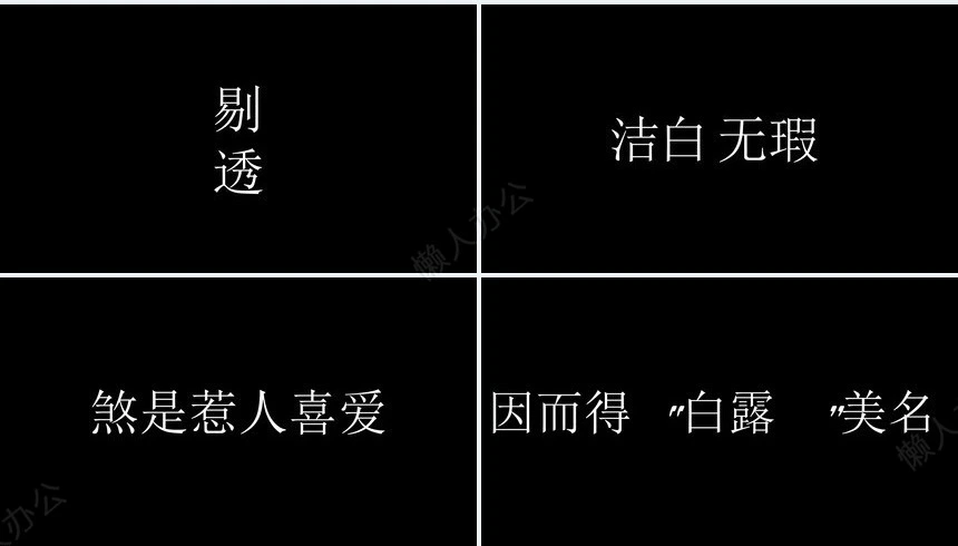 二十四节气白露通用PPT模板(14)