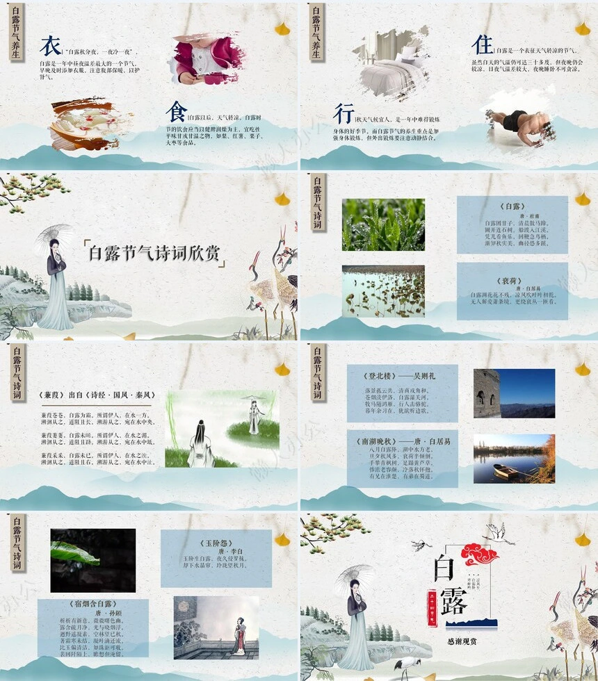 二十四节气白露通用PPT模板(3)