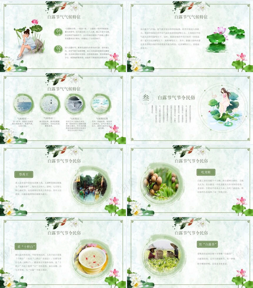 二十四节气白露通用PPT模板(4)