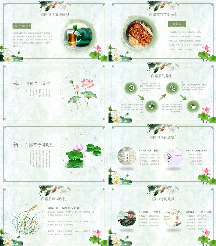 二十四节气白露通用PPT模板(4)