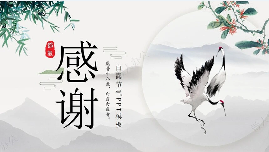 二十四节气白露通用PPT模板(9)