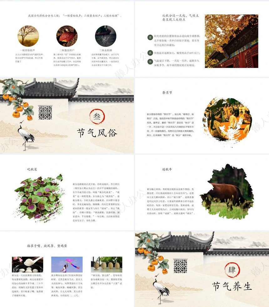 二十四节气秋分通用PPT模板(17)