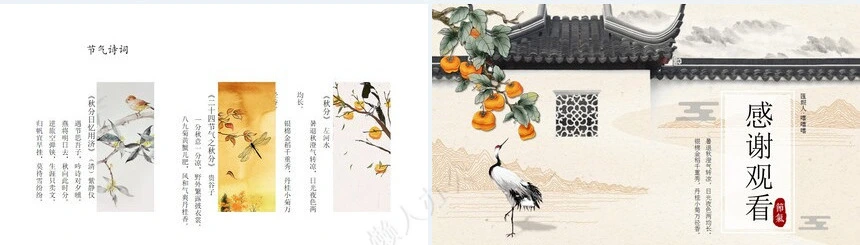 二十四节气秋分通用PPT模板(17)