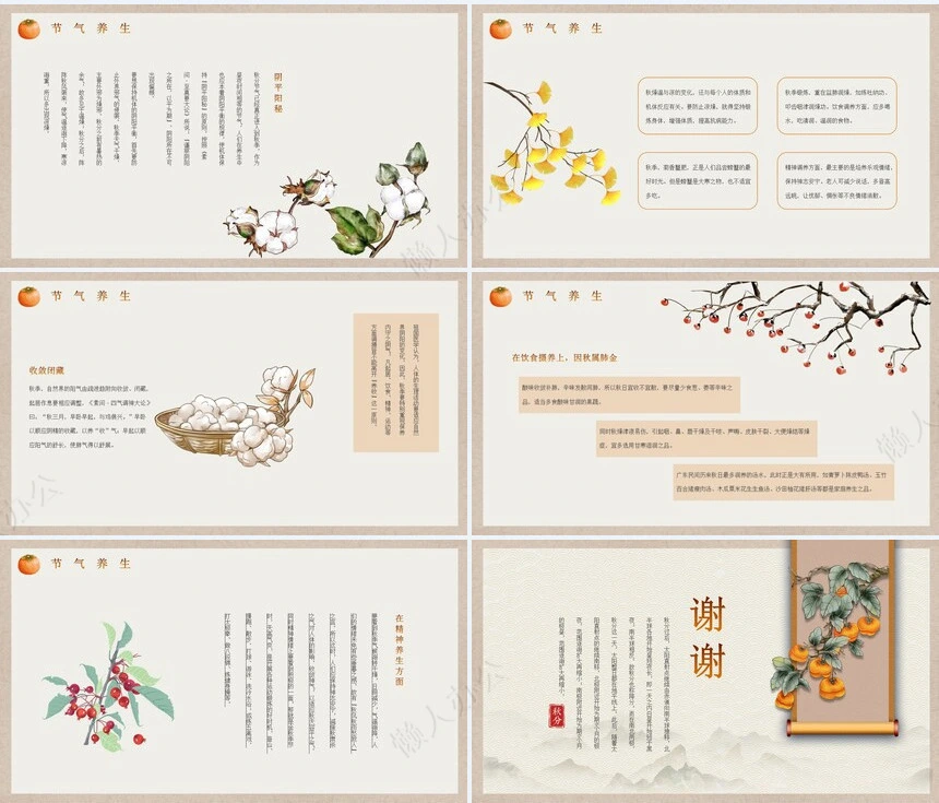 二十四节气秋分通用PPT模板(7)