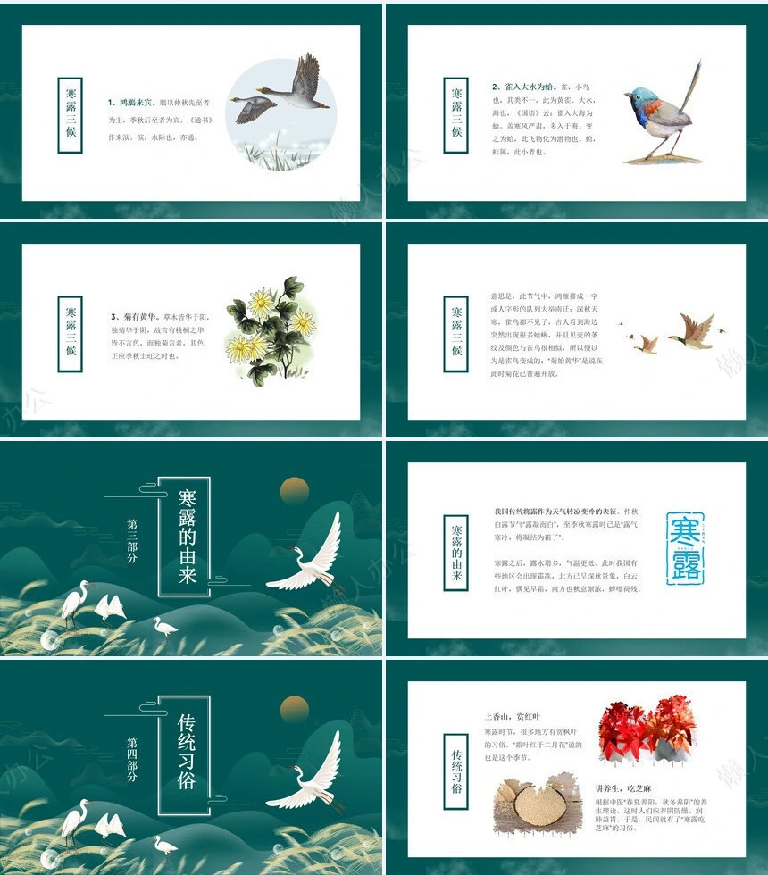 二十四节气寒露通用PPT模板(10)