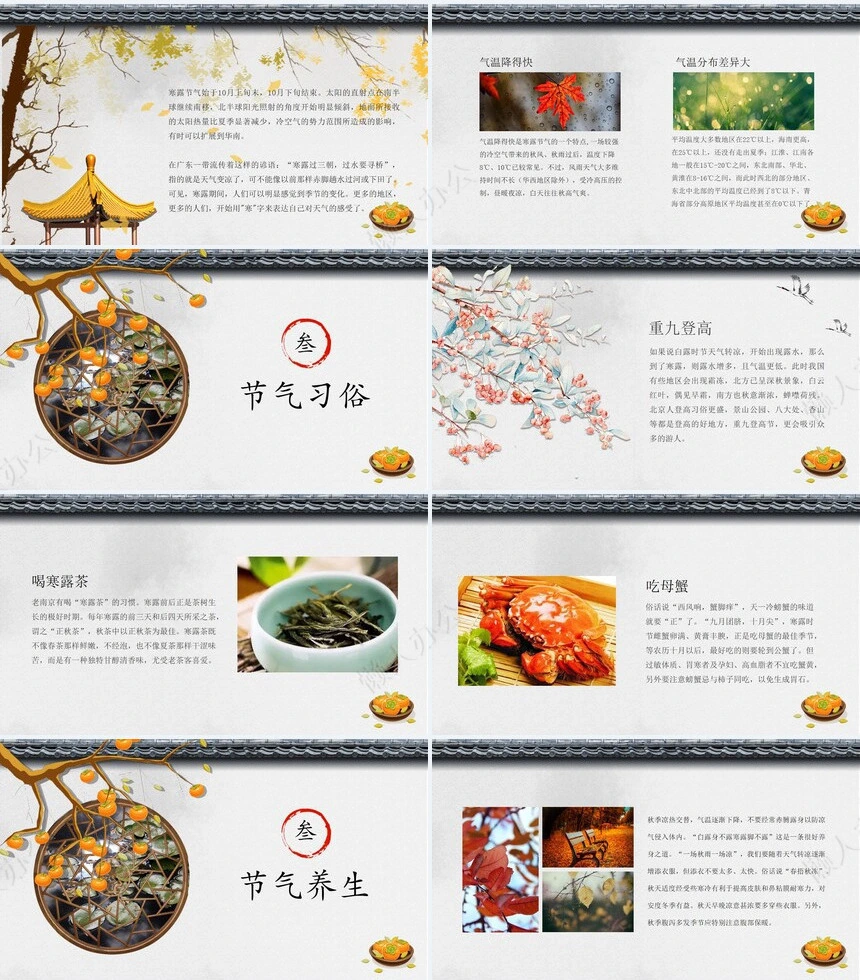 二十四节气寒露通用PPT模板(16)