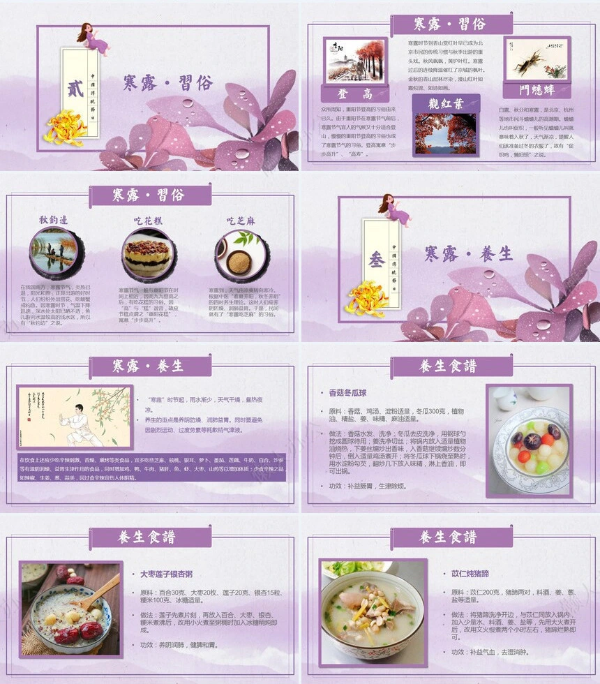 二十四节气寒露通用PPT模板(20)