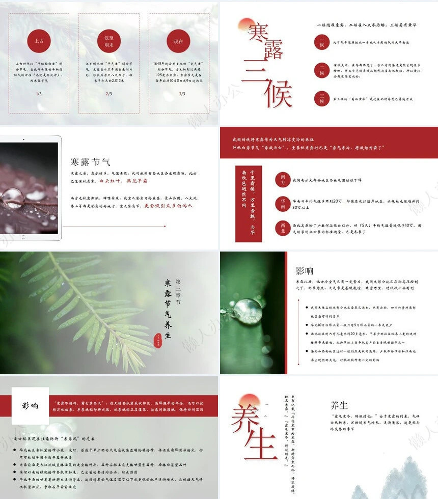 二十四节气寒露通用PPT模板(30)