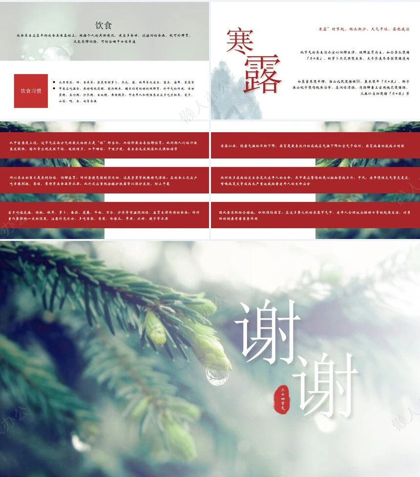 二十四节气寒露通用PPT模板(30)
