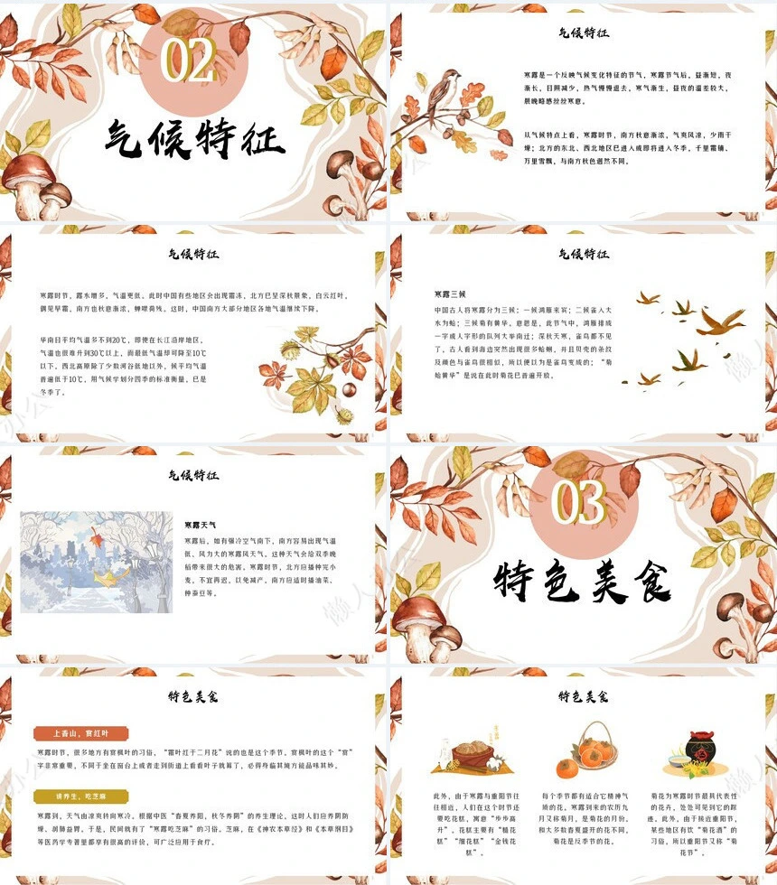 二十四节气寒露通用PPT模板(31)