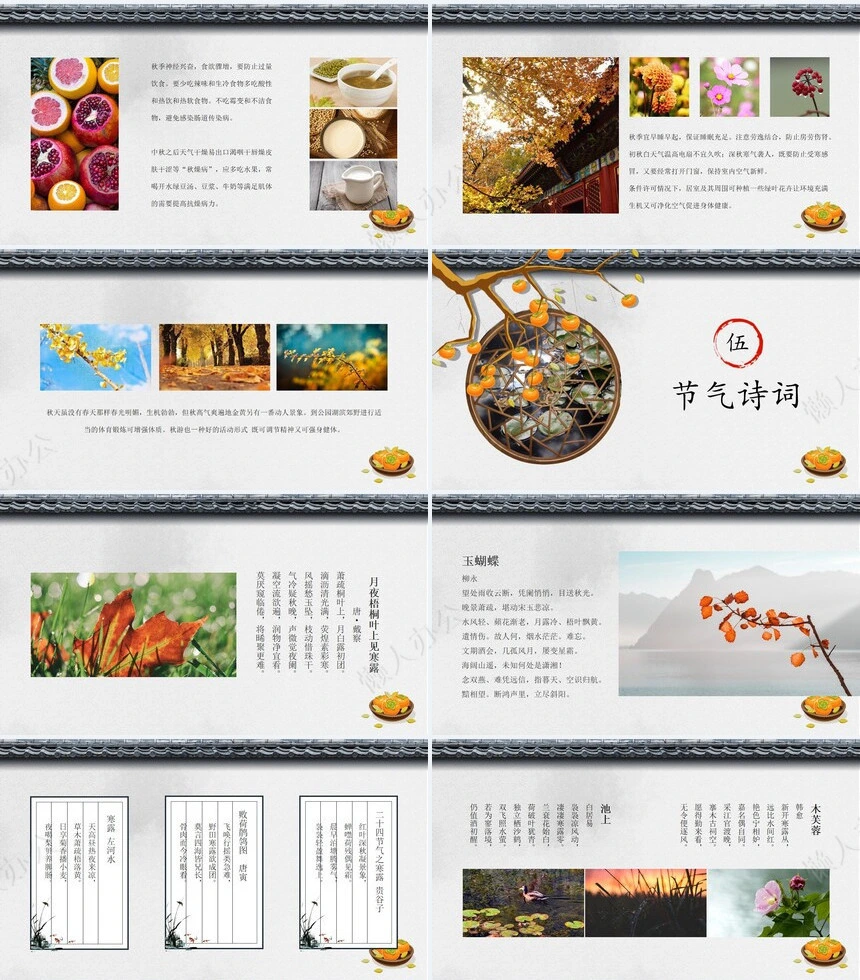 二十四节气寒露通用PPT模板(39)