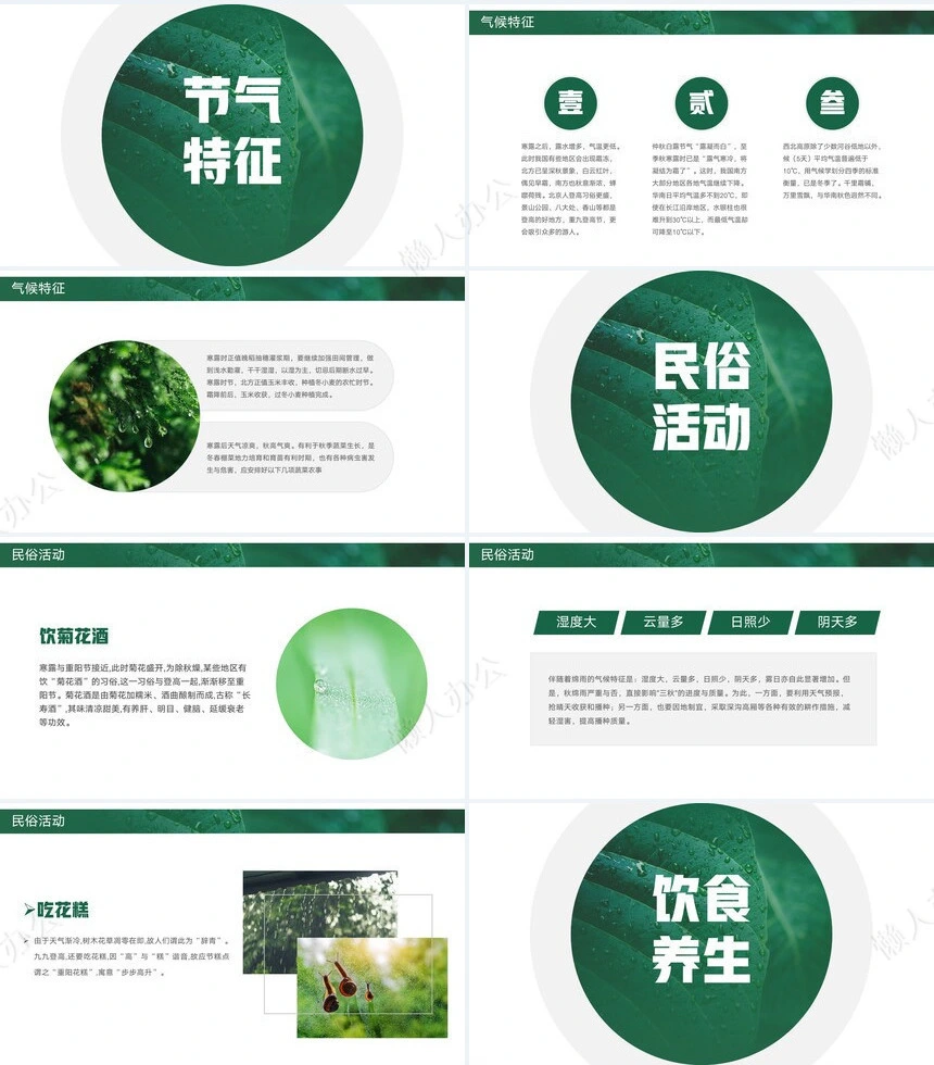 二十四节气寒露通用PPT模板(42)
