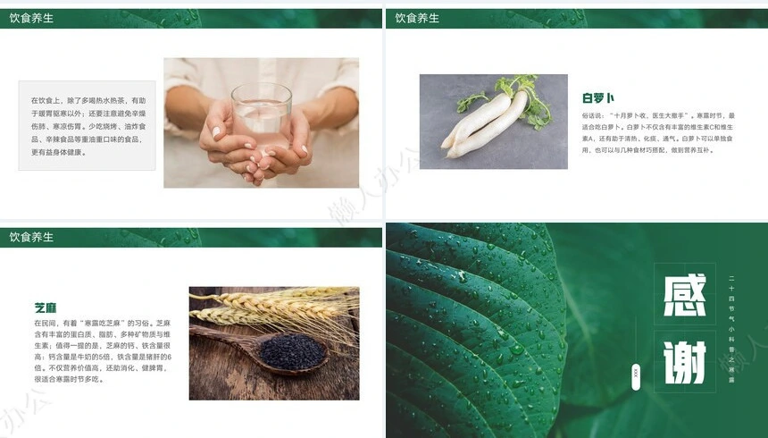 二十四节气寒露通用PPT模板(42)