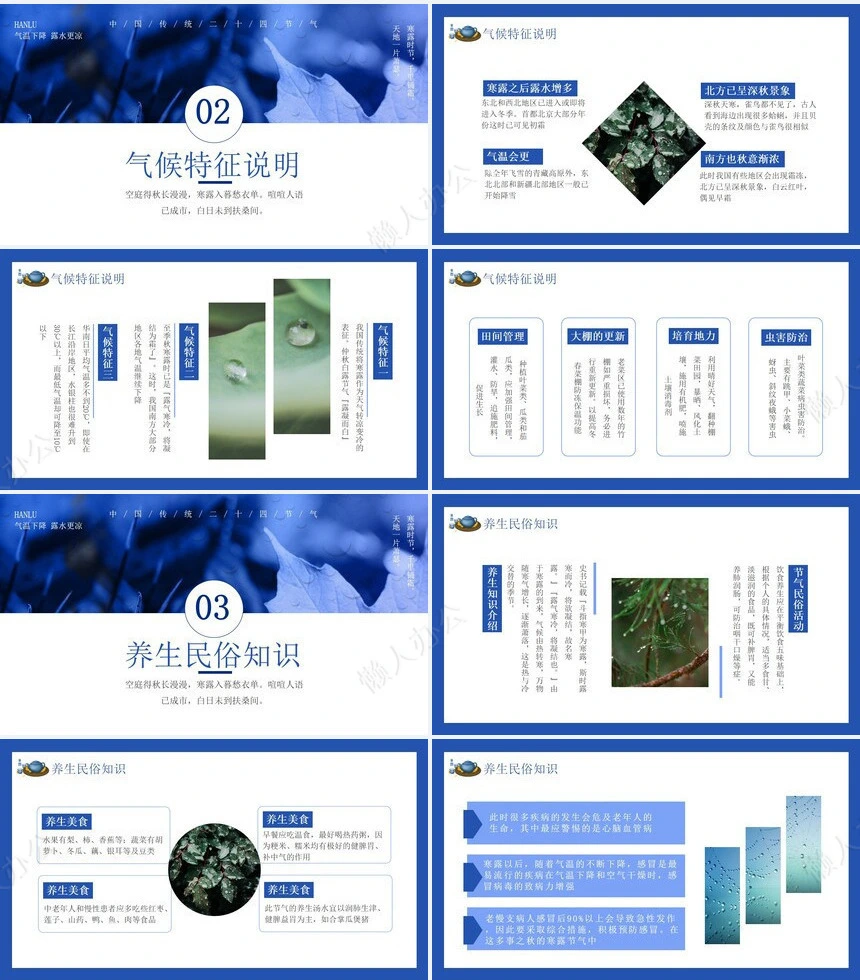 二十四节气寒露通用PPT模板(44)