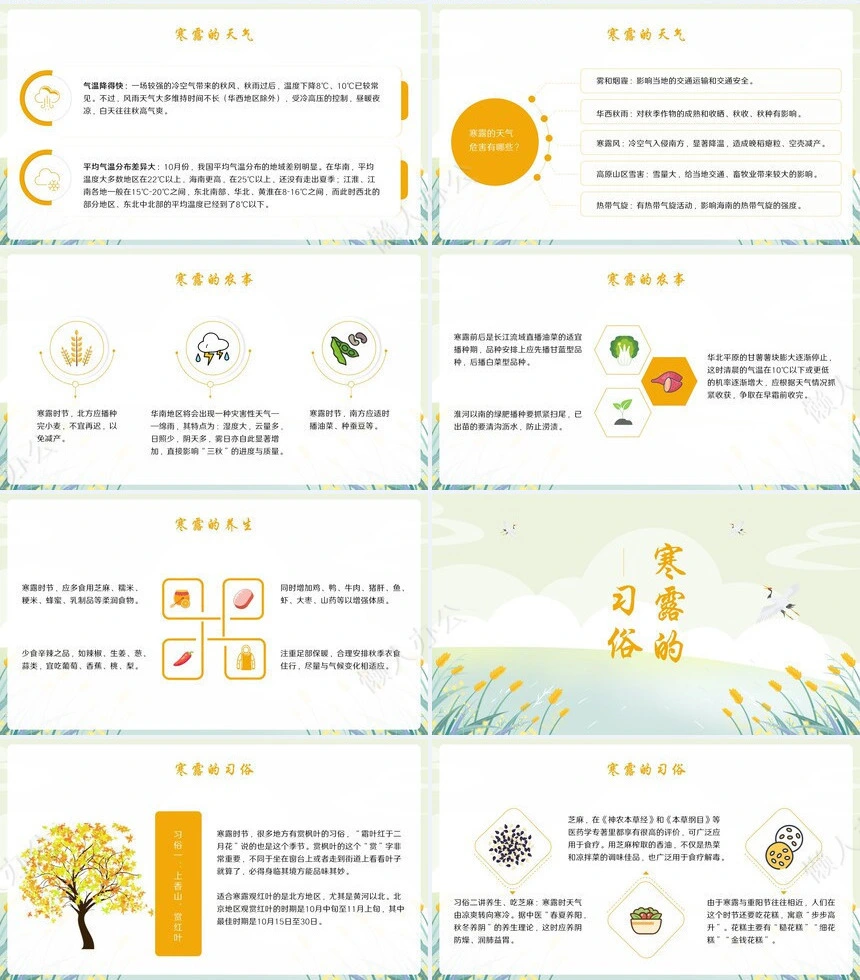 二十四节气寒露通用PPT模板(47)