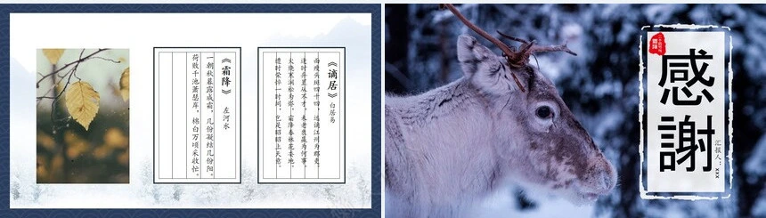 二十四节气霜降通用PPT模板(17)