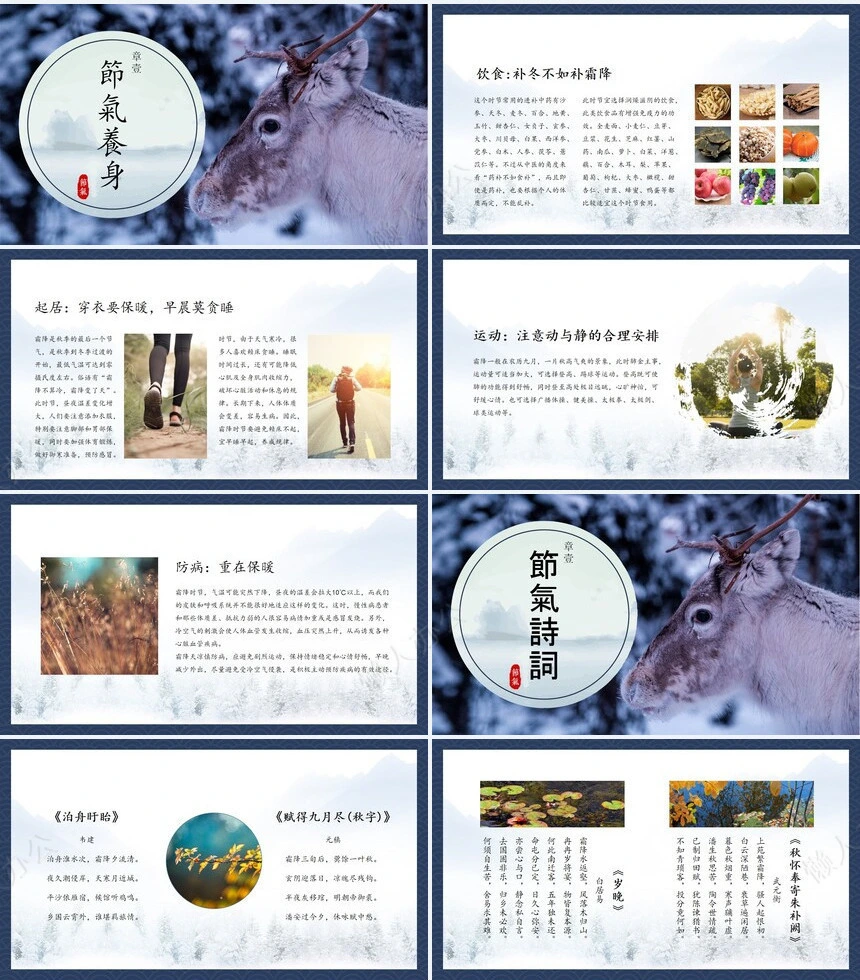 二十四节气霜降通用PPT模板(33)
