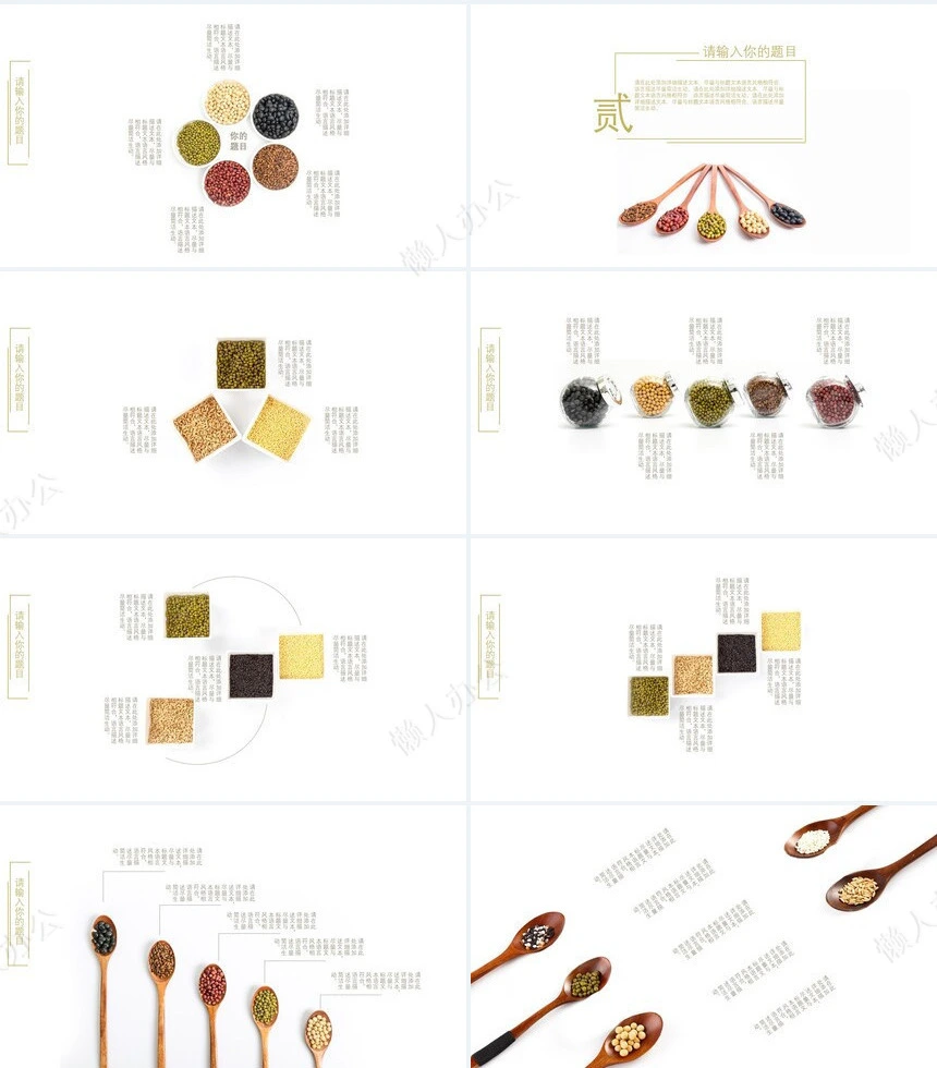 食品加工饮食类商业项目计划书PPT模板