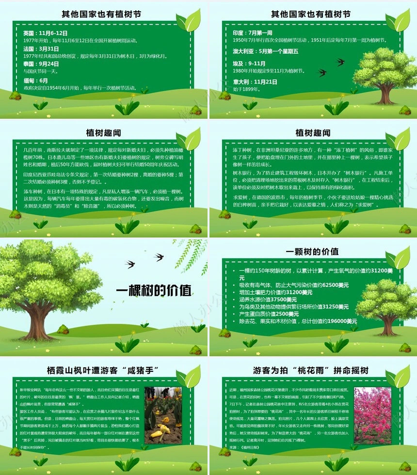 植树节通用PPT模板(30)