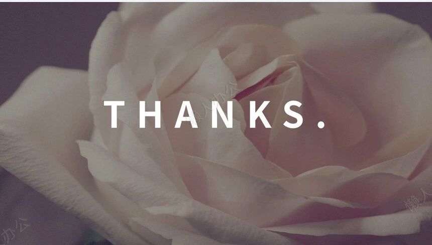 鲜花背景北欧INS简约创意通用模板