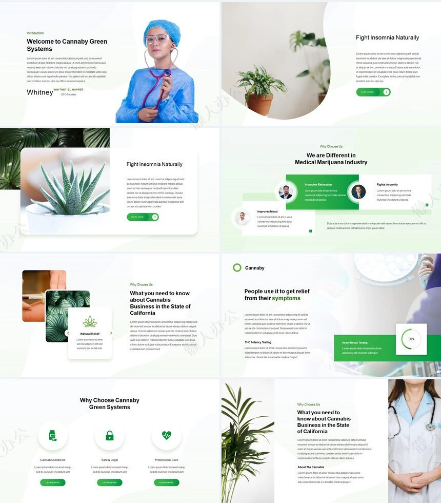 时尚文艺小清新植物医疗通用PPT模板