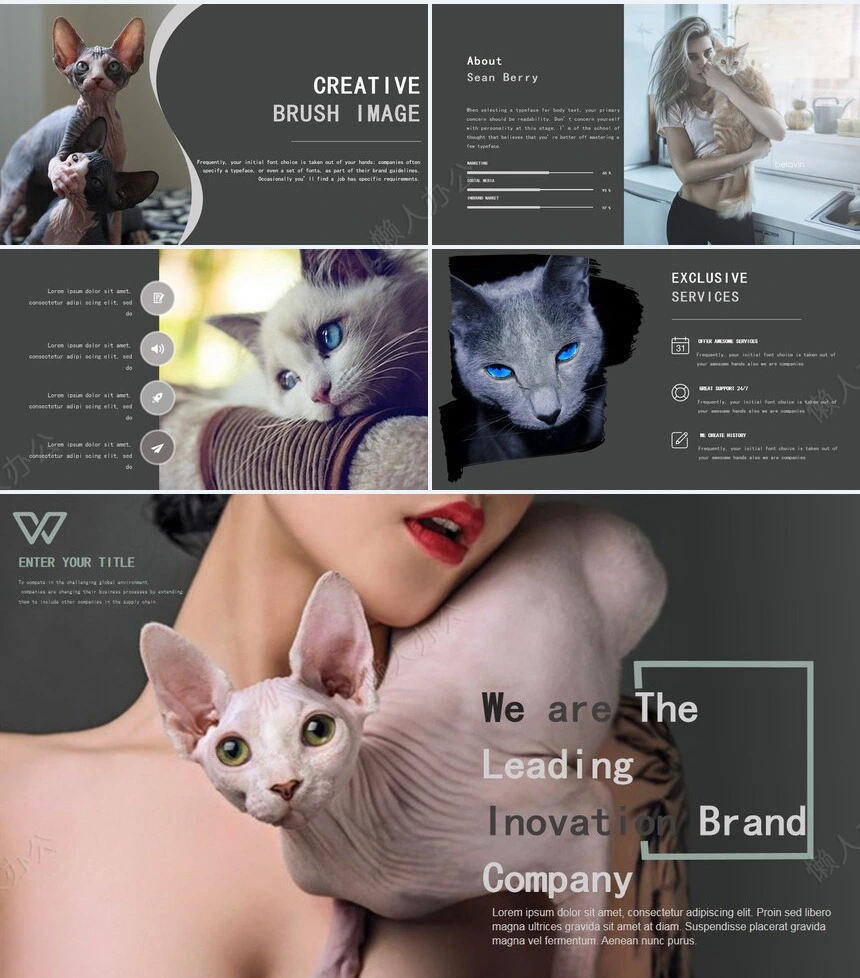 欧美风猫咪影视广告策划通用PPT模板