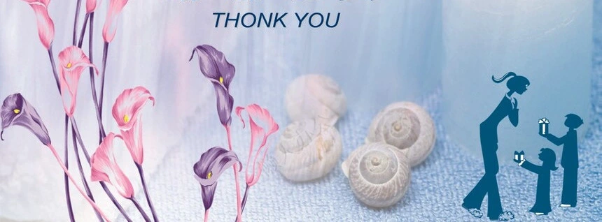 感恩教师节节日会议PPT模板