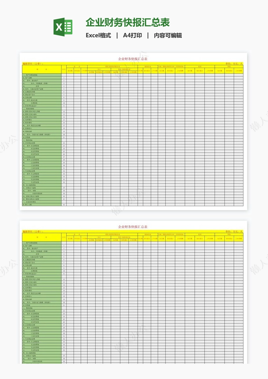 企业财务快报汇总表