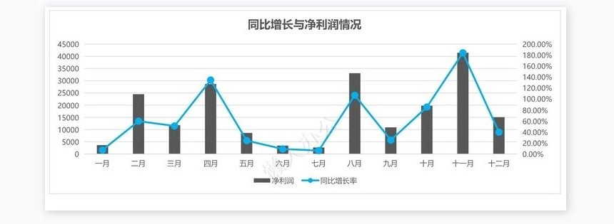 年度财务营收分析报表