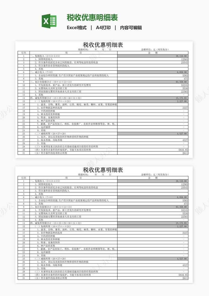 税收优惠明细表