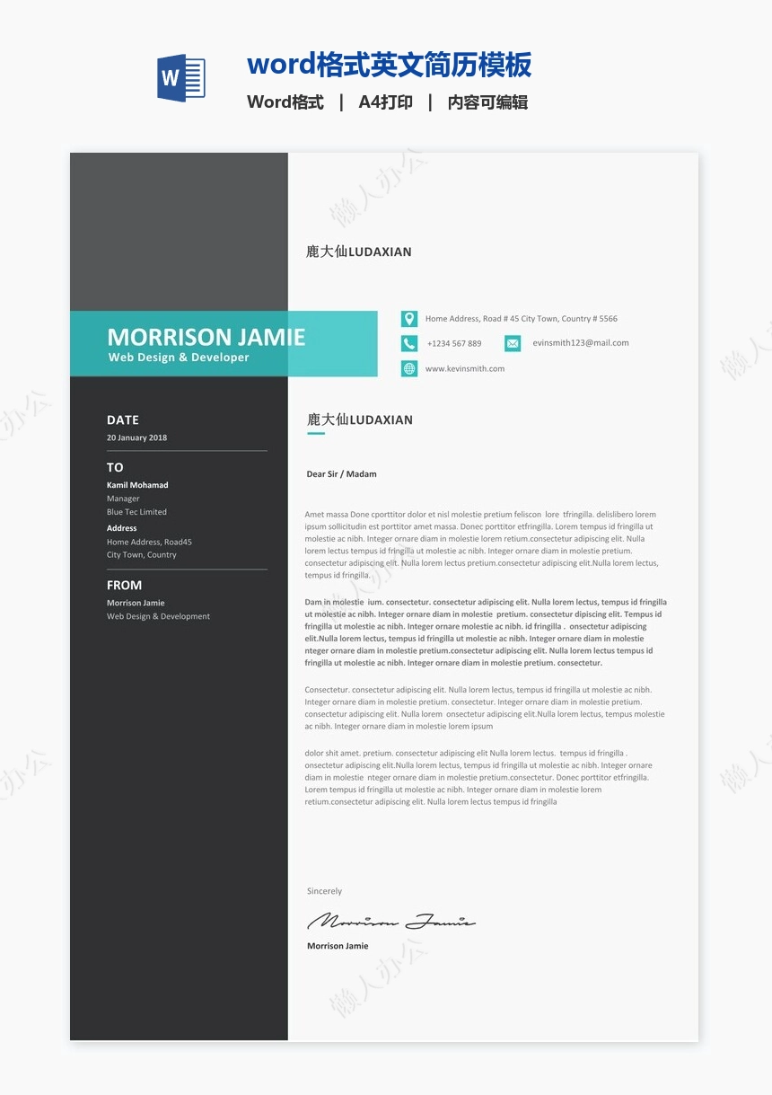 word格式英文简历模板
