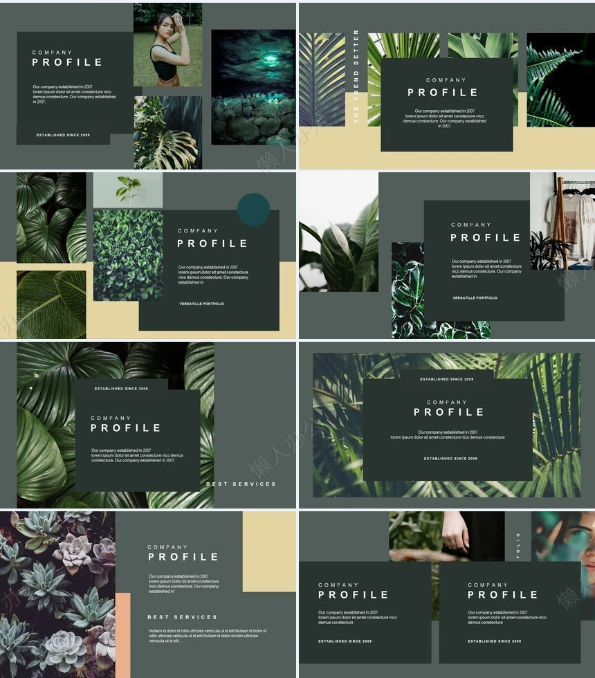 莫兰迪风格通用PPT模板(61)