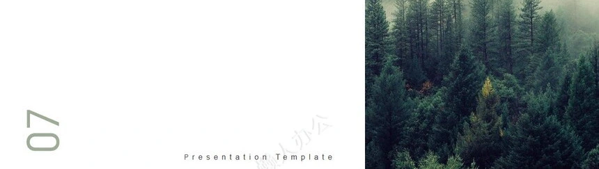 莫兰迪风格通用PPT模板(67)