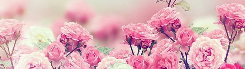 唯美韩范通用PPT